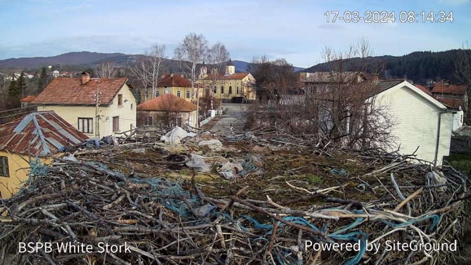 Село Ярлово времето уеб камери щъркелово гнездо, бял щъркел, Община Самоков, Софийска област, Витоша, kamera, live webcam